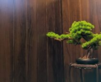 LIXIL　サティス